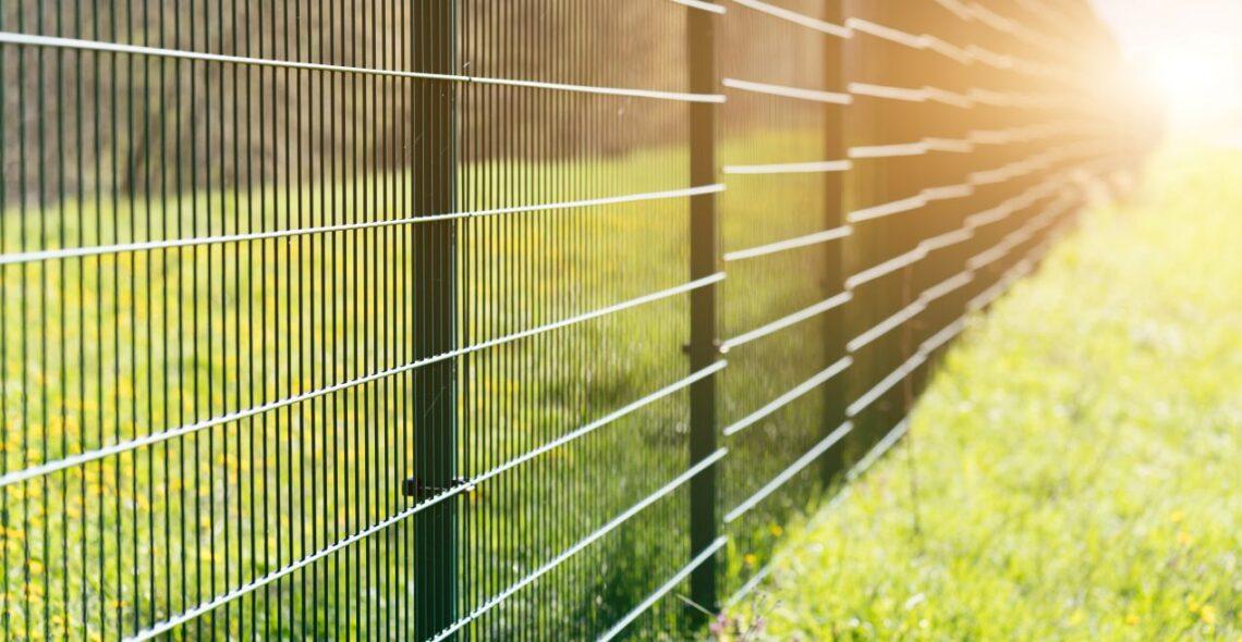 Doppelstabmattenzaun Montage auf einer grünen Wiese bei Sonnenuntergang, Zaunelemente verlaufen parallel zum Feld